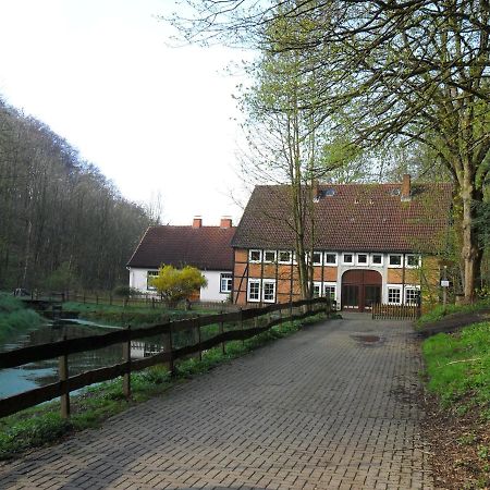 Hoellenmuehle Bed & Breakfast At The Mill Pond 黑森奥尔登多夫 外观 照片