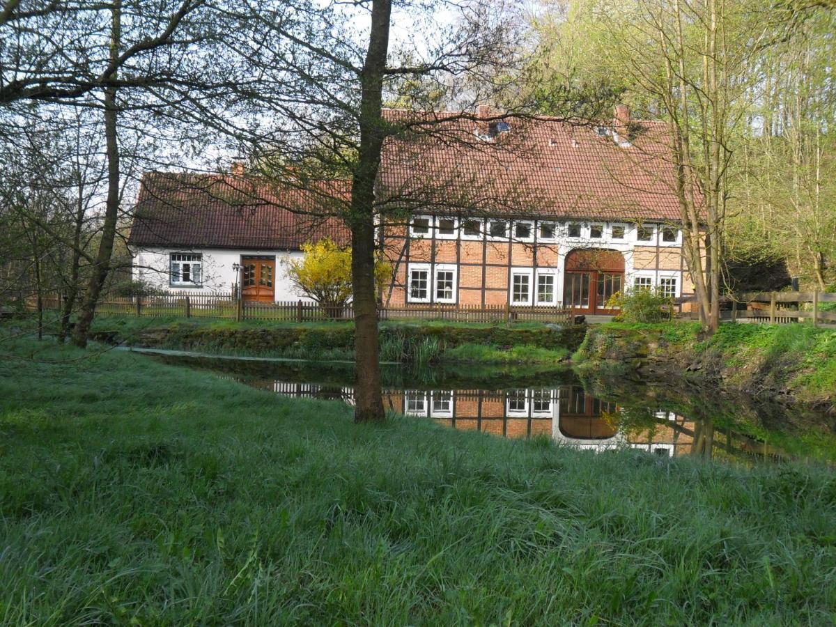 Hoellenmuehle Bed & Breakfast At The Mill Pond 黑森奥尔登多夫 外观 照片