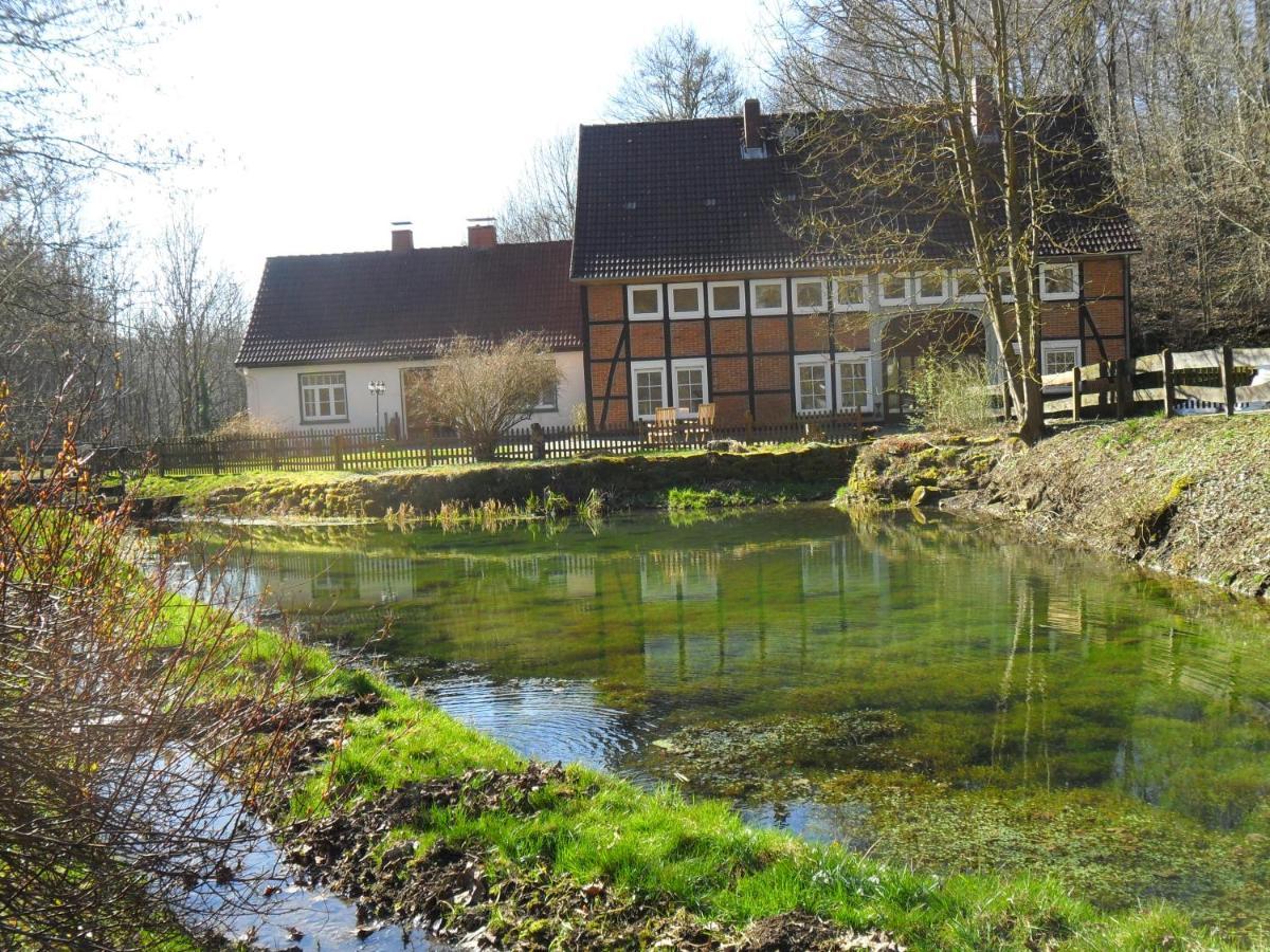 Hoellenmuehle Bed & Breakfast At The Mill Pond 黑森奥尔登多夫 外观 照片