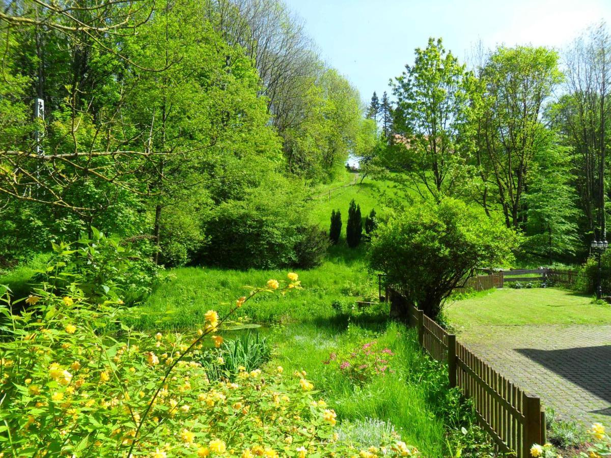 Hoellenmuehle Bed & Breakfast At The Mill Pond 黑森奥尔登多夫 外观 照片